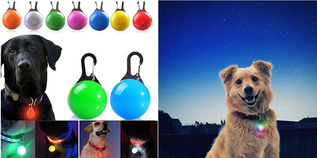 Collar LED Luminoso para Perros – Impermeable, Recargable USB, Seguridad Nocturna
