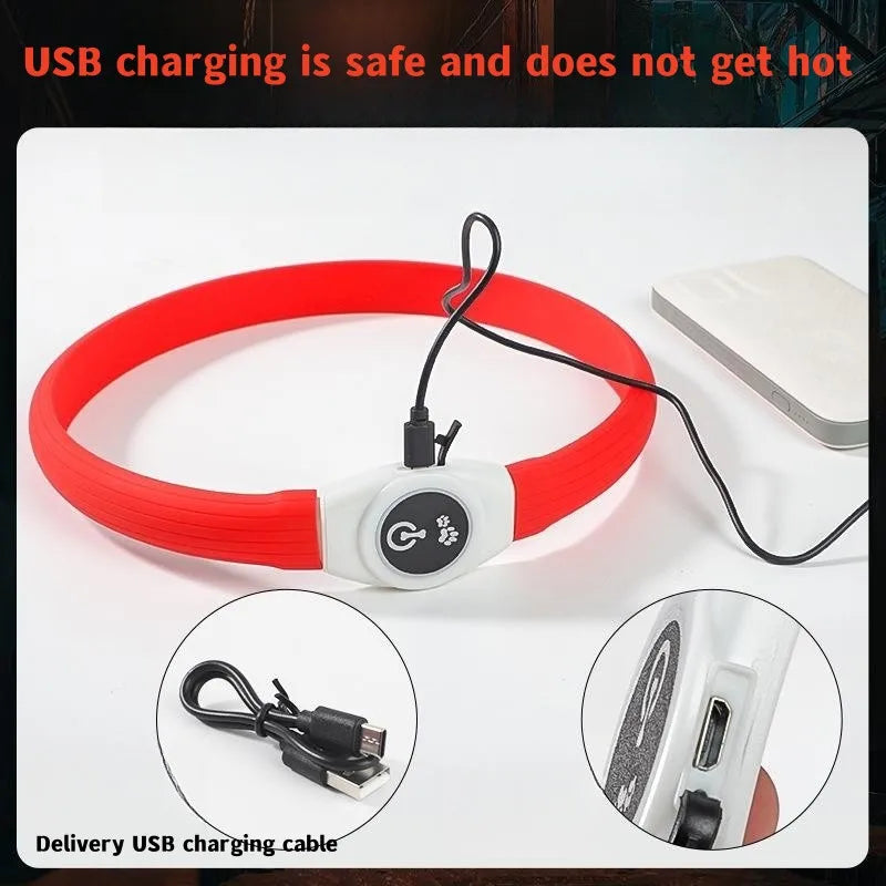 Collar LED Luminoso para Perros – Impermeable, Recargable USB, Seguridad Nocturna