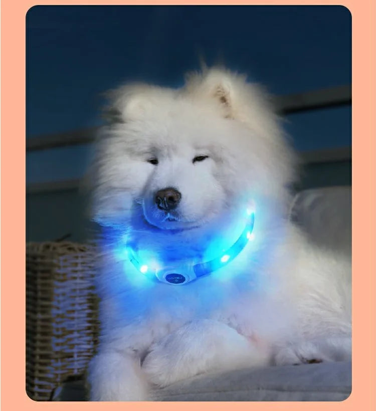 Collar LED Luminoso para Perros – Impermeable, Recargable USB, Seguridad Nocturna