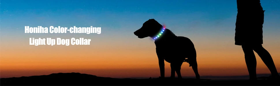Collar LED Luminoso para Perros – Impermeable, Recargable USB, Seguridad Nocturna