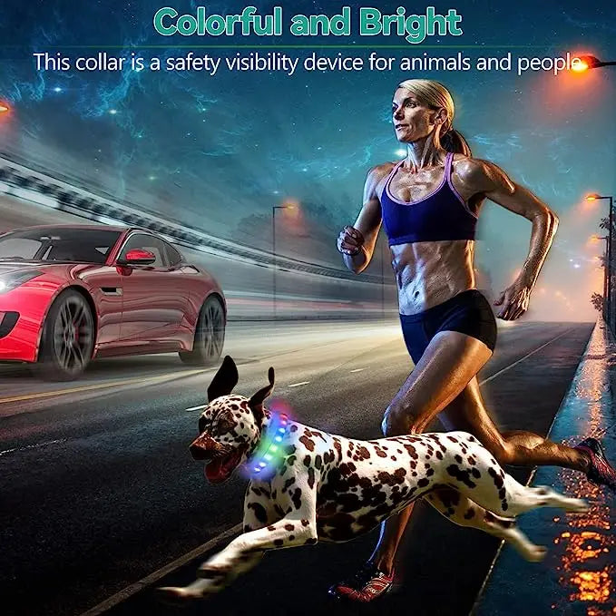 Collar LED Luminoso para Perros – Impermeable, Recargable USB, Seguridad Nocturna