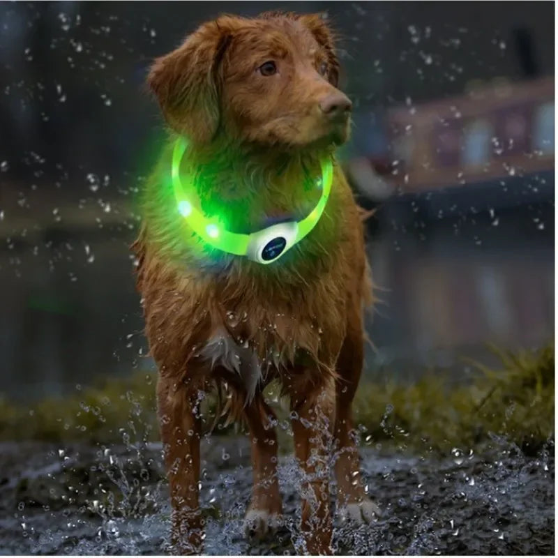 Collar LED Luminoso para Perros – Impermeable, Recargable USB, Seguridad Nocturna