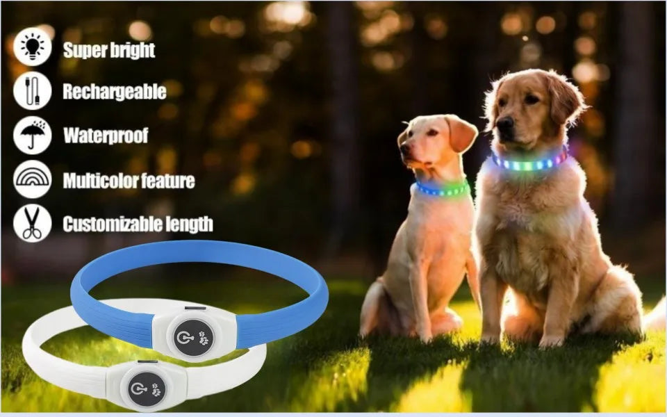 Collar LED Luminoso para Perros – Impermeable, Recargable USB, Seguridad Nocturna