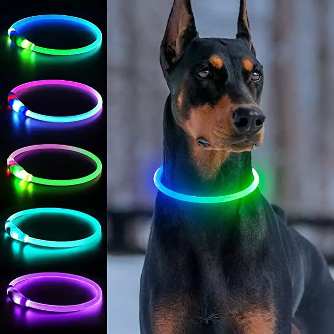 Collar LED Luminoso para Perros – Impermeable, Recargable USB, Seguridad Nocturna