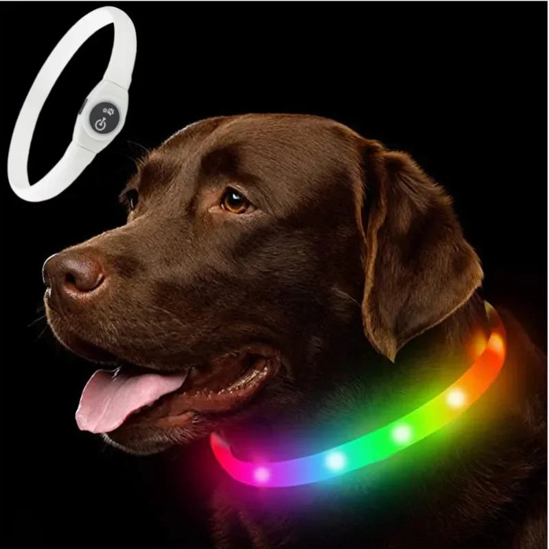 Collar LED Luminoso para Perros – Impermeable, Recargable USB, Seguridad Nocturna