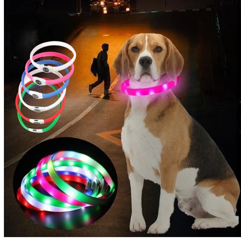 Collar LED Luminoso para Perros – Impermeable, Recargable USB, Seguridad Nocturna