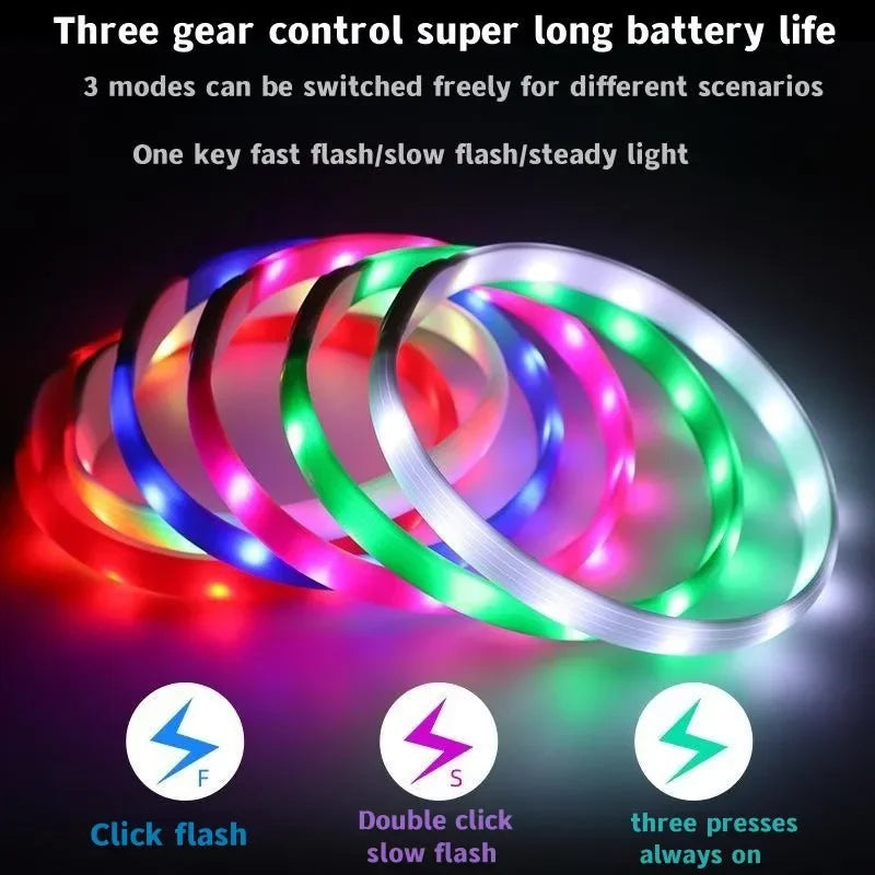 Collar LED Luminoso para Perros – Impermeable, Recargable USB, Seguridad Nocturna