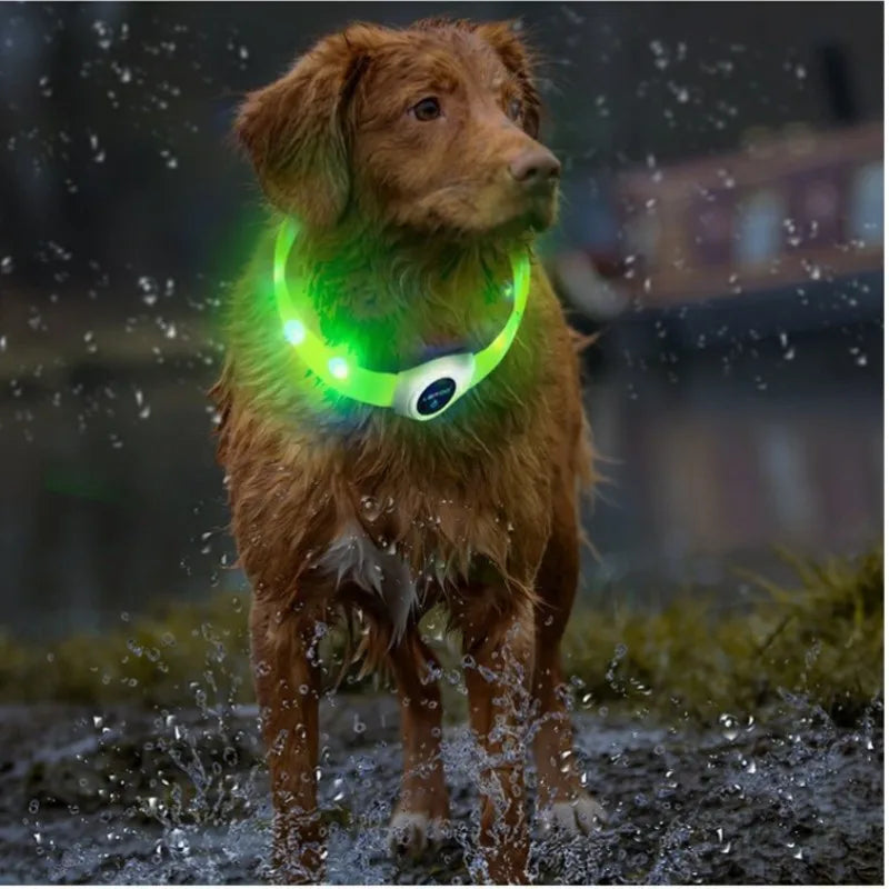 Collar LED Luminoso para Perros – Impermeable, Recargable USB, Seguridad Nocturna