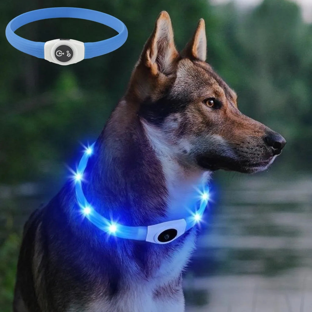Collar LED Luminoso para Perros – Impermeable, Recargable USB, Seguridad Nocturna
