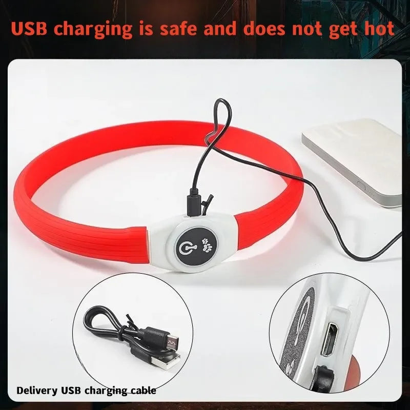 Collar LED Luminoso para Perros – Impermeable, Recargable USB, Seguridad Nocturna