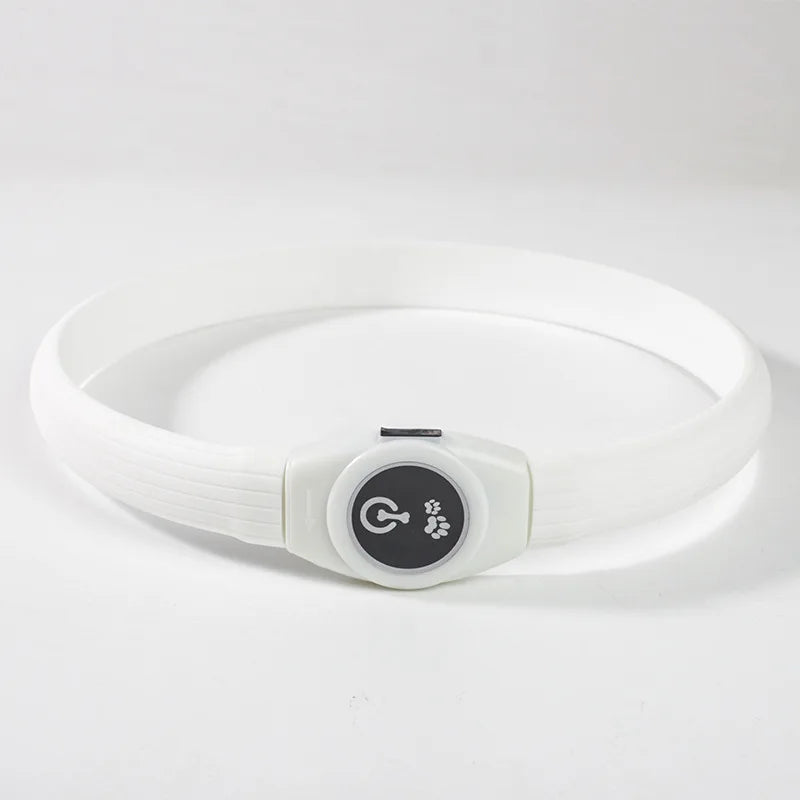 Collar LED Luminoso para Perros – Impermeable, Recargable USB, Seguridad Nocturna