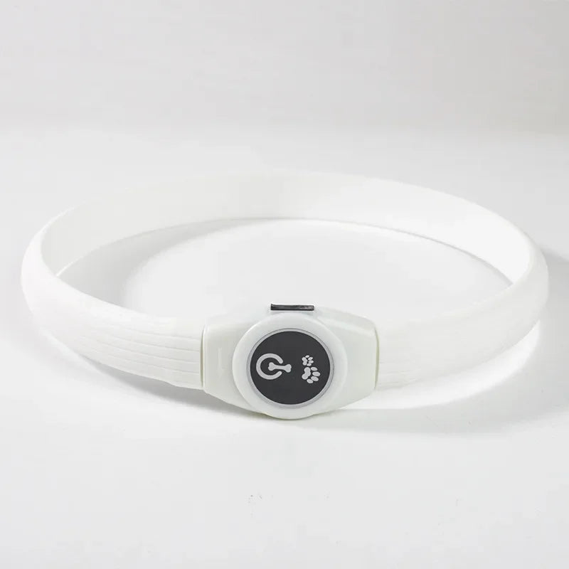 Collar LED Luminoso para Perros – Impermeable, Recargable USB, Seguridad Nocturna