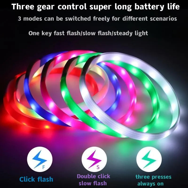 Collar LED Luminoso para Perros – Impermeable, Recargable USB, Seguridad Nocturna