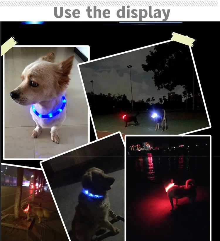 Collar LED Luminoso para Perros – Impermeable, Recargable USB, Seguridad Nocturna