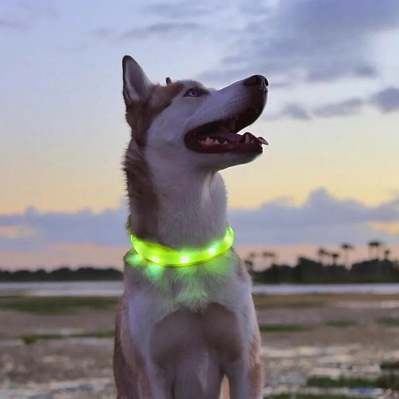 Collar LED Luminoso para Perros – Impermeable, Recargable USB, Seguridad Nocturna